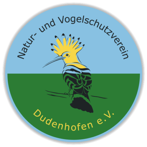 NVV Dudenhofen